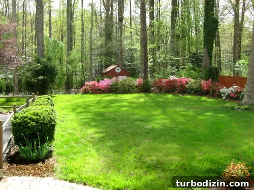 What We'd Do Differently If We Bought Our First House Again 21 Grassy Backyard With Azaleas And Small Red Shed