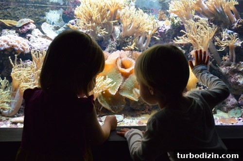 Discover Washington DC: Top Attractions, Food, and Nightlife 3 img 51982 2