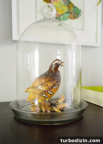 Charming Fall Decorating Ideas for Cozy Autumn Homes 11 Thrifted bird Waldo