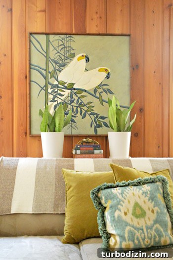 Framed art and throw