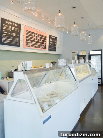 Gelati Celesti Store Crash: What Happened and How to Recover 4 Ice cream display and pendant lights