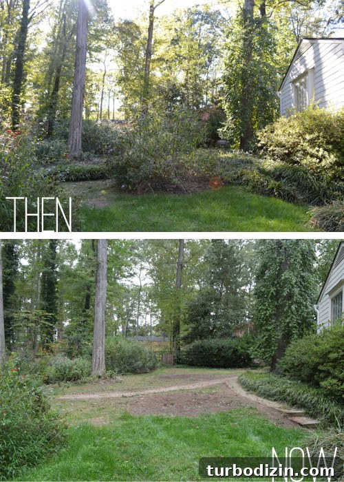Backyard Landscaping Ideas and Updates for a Fresh Outdoor Look 2 img 52226 1