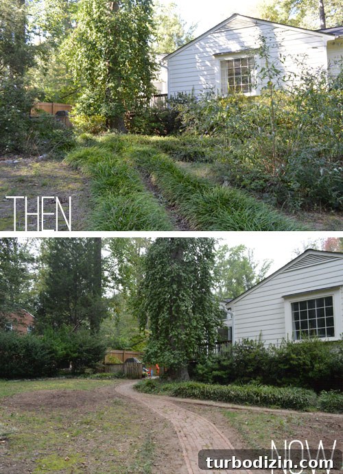 Backyard Landscaping Ideas and Updates for a Fresh Outdoor Look 7 img 52226 6