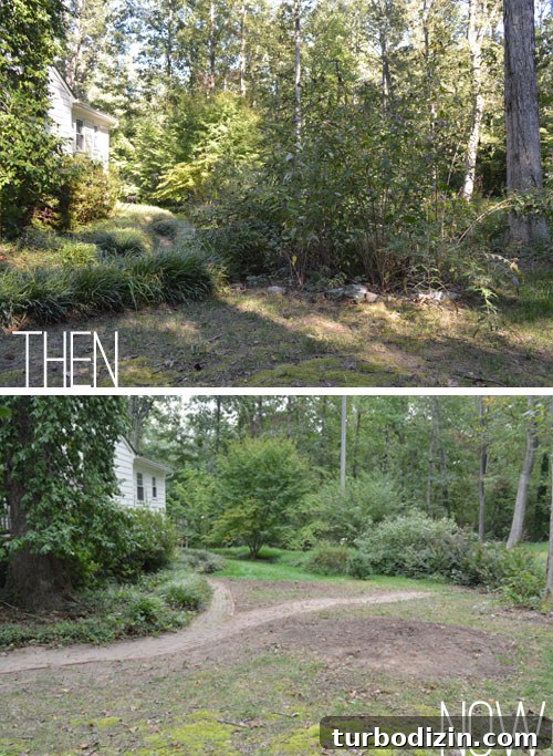 Backyard Landscaping Ideas and Updates for a Fresh Outdoor Look 8 img 52226 7
