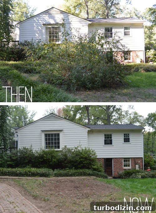 Backyard Landscaping Ideas and Updates for a Fresh Outdoor Look 9 img 52226 8