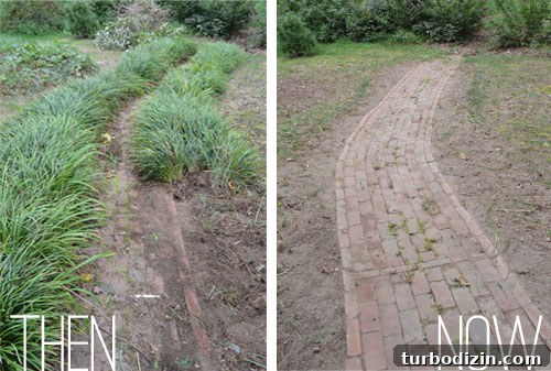 Backyard Landscaping Ideas and Updates for a Fresh Outdoor Look 10 img 52226 9