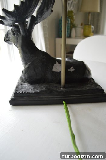 Our New Moose Lamp: What It's Like to Own One 5 img 52276 4
