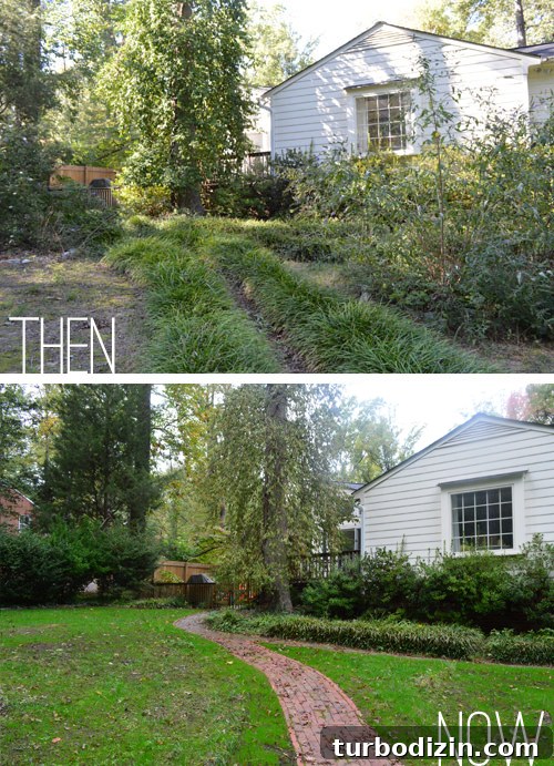 View toward house