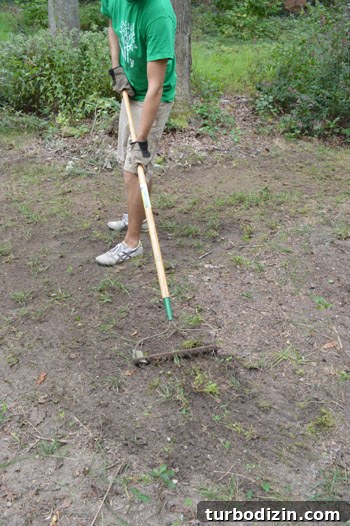 Raking the yard