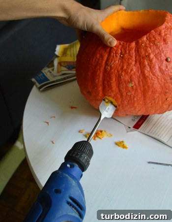 How to Drill Pumpkin Holes for Creepy Wooden Snakes 4 Wooden snakes and pumpkin
