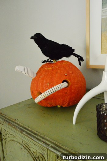How to Drill Pumpkin Holes for Creepy Wooden Snakes 8 Second snaked pumpkin