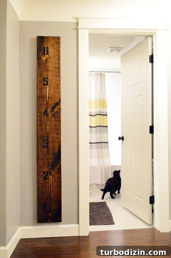Cincinnati House Crash: What Happened and Who’s Affected 13 Homemade growth ruler