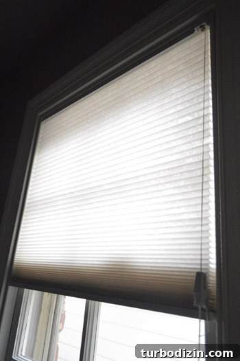 How to Frost a Window for Privacy and Style 9 img 53487 8