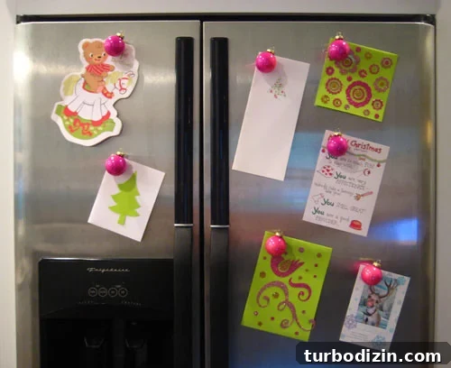 fridgesmall img 5384 2