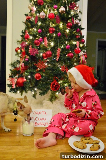 Creative DIY Christmas Photo Card Ideas for Families and Couples 4 Outtake photo 2
