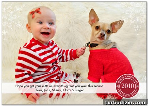 Creative DIY Christmas Photo Card Ideas for Families and Couples 9 2010 card