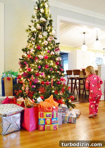 What We Bought Each Other for Christmas (Gift Reveal) 4 Presents under the tree