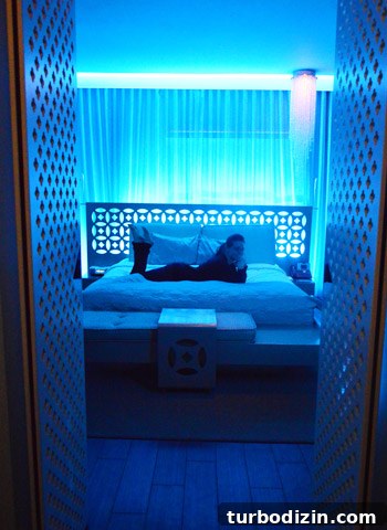 Back on the Road: Tips for Planning Your Next Road Trip 12 Dream South Beach room