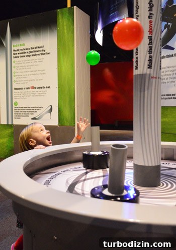 From the Big Apple to the Big Peach: Moving Guide for NYC to Atlanta 15 Discovery Place museum