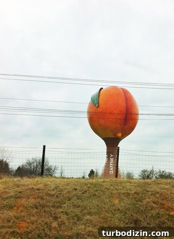 From the Big Apple to the Big Peach: Moving Guide for NYC to Atlanta 16 Giant Peach roadside attraction