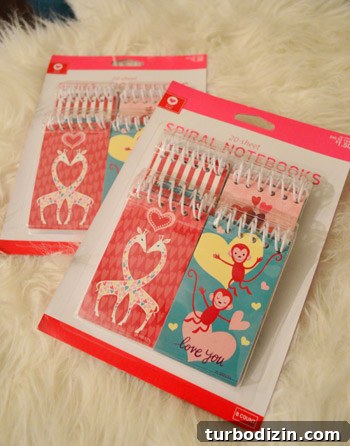 Valentine’s Day Classroom Crafts: DIY Cards and Gifts for School 4 Spiral notebooks