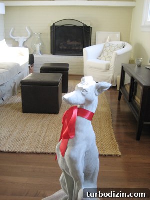 Puppy Love: How to Care for Your New Dog and Build Bonding Habits 2 img 557 1