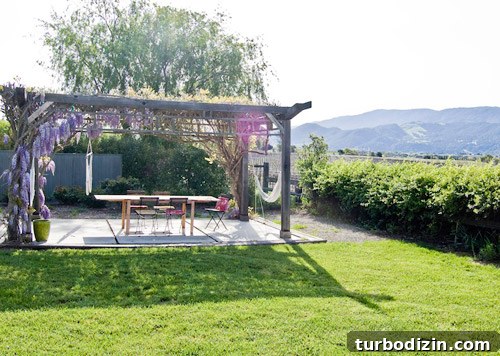 Quaint Vine-Covered Cottage House Crashers Tour 12 Outdoor pergola with wisteria
