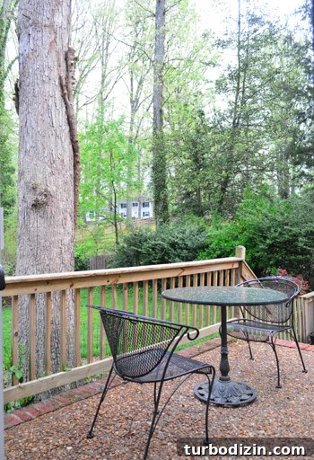 Remove Overgrown Vines from Trees: Step-by-Step Guide 11 After angle