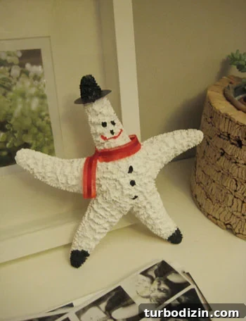 holiday-christmas-diy-project holiday-christmas-diy-project