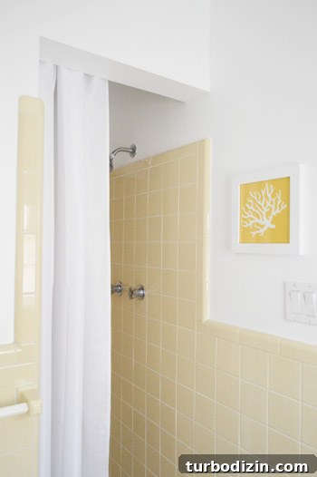 Budget-Friendly Bathroom Makeover for $51: Before and After 7 img 57499 6
