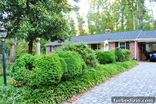 We Bought a New Home: Our Moving Story and What Changed 5 img 57717 4