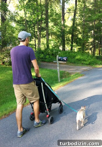 Walking the dog