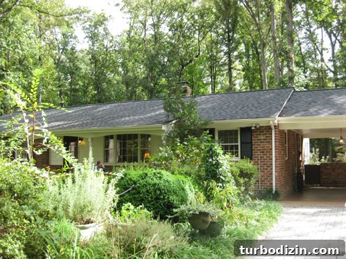 Step-by-Step Guide to Painting Exterior Siding for Lasting Results 9 img 58090 8