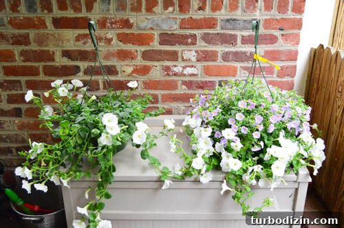How to Install Window Boxes for Beautiful Outdoor Planters 11 img 58098 10