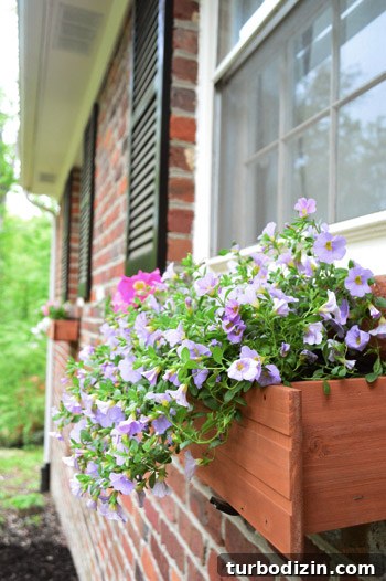 How to Install Window Boxes for Beautiful Outdoor Planters 14 img 58098 13