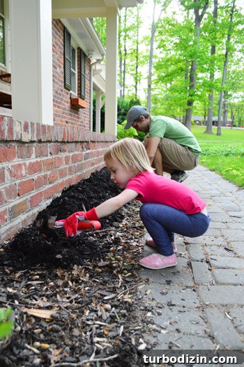 How to Install Window Boxes for Beautiful Outdoor Planters 10 img 58098 9