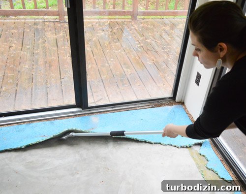 How to Remove a Rug, Rug Pad, and Tack Strips Safely and Cleanly 4 img 58235 3