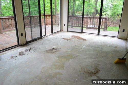 How to Remove a Rug, Rug Pad, and Tack Strips Safely and Cleanly 6 img 58235 5