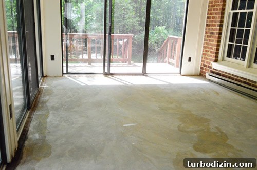 How to Remove a Rug, Rug Pad, and Tack Strips Safely and Cleanly 8 img 58235 7