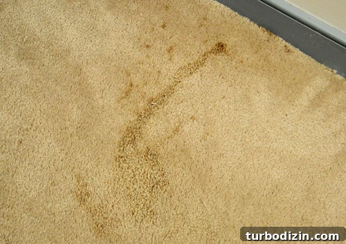 old stained carpeting