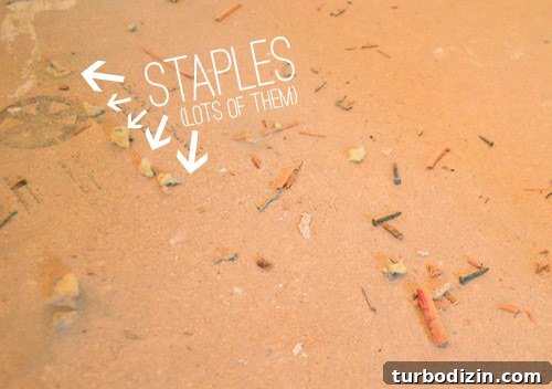 carpet staples in subfloor