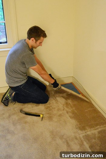 pulling up old carpet by hand