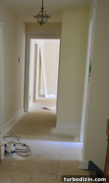How to Paint Trim and Doors with a Sprayer: Pro Tips 12 img 58378 12