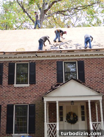 Replacing an Old Furnace and Installing a New Roof: Cost & Timeline 3 img 58435 2