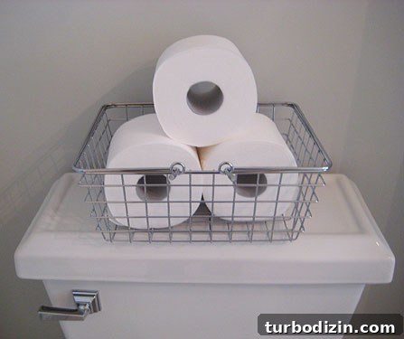 toilet-paper-storage-post img 5886 3