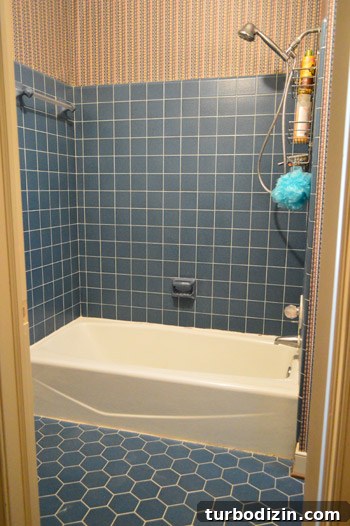 Remove and Replace an Old Sliding Shower Door: Step-by-Step Guide 11 img 58890 10