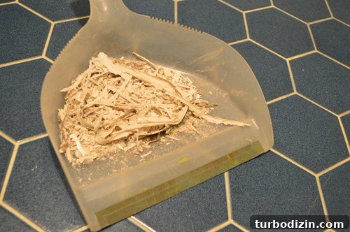 Remove and Replace an Old Sliding Shower Door: Step-by-Step Guide 16 img 58890 15