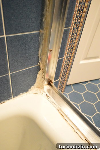 Remove and Replace an Old Sliding Shower Door: Step-by-Step Guide 4 img 58890 3
