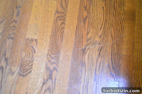 Restore Shine to Dull Hardwood Floors: Simple Steps That Work 5 img 58892 4