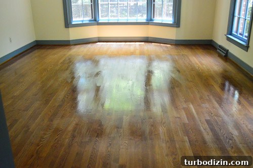 Restore Shine to Dull Hardwood Floors: Simple Steps That Work 9 img 58892 8
